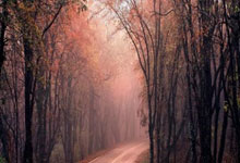 2021年欧洲杯赛程什么时候开始?