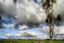 皇马与巴萨的历史交战记录里,藏着哪些关键看点?