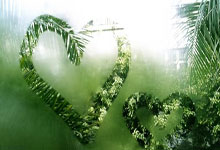 葡萄牙vs丹麦首发阵容会有哪些看点?